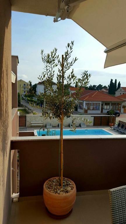 Antonija Apartments With Pool Weißenburg Exterior foto